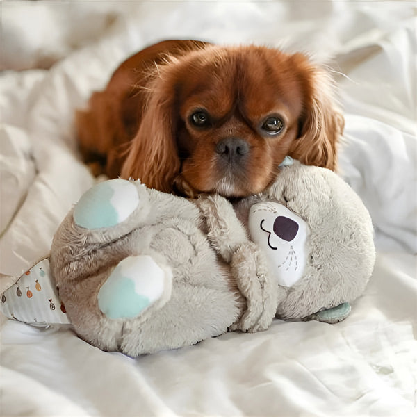 Slapende Otter Knuffel